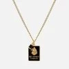 Skoll Onyx Necklace, Gold Vermeil/Black -Online Fashion Accessories 103 0648 color black 01