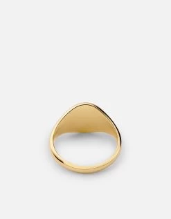 Pina Ring, Gold Vermeil 6 Pina Ring, Gold Vermeil -Online Fashion Accessories 104 0481 color polishedgold 02