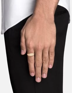 Arden Ring, Gold Vermeil 7 Arden Ring, Gold Vermeil -Online Fashion Accessories 104 0489 color polishedgold 03