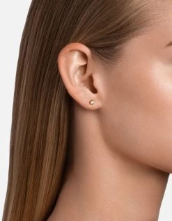 Solitaire Studs, 14k Gold Pavé -Online Fashion Accessories 105 0175 color polishedgoldpave 02